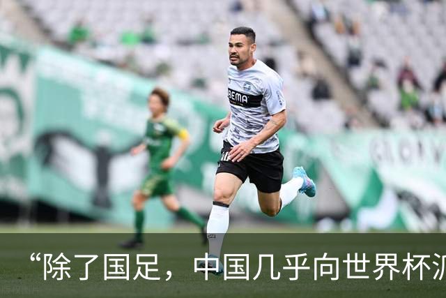 “除了国足，中国几乎向世界杯派去了一切”